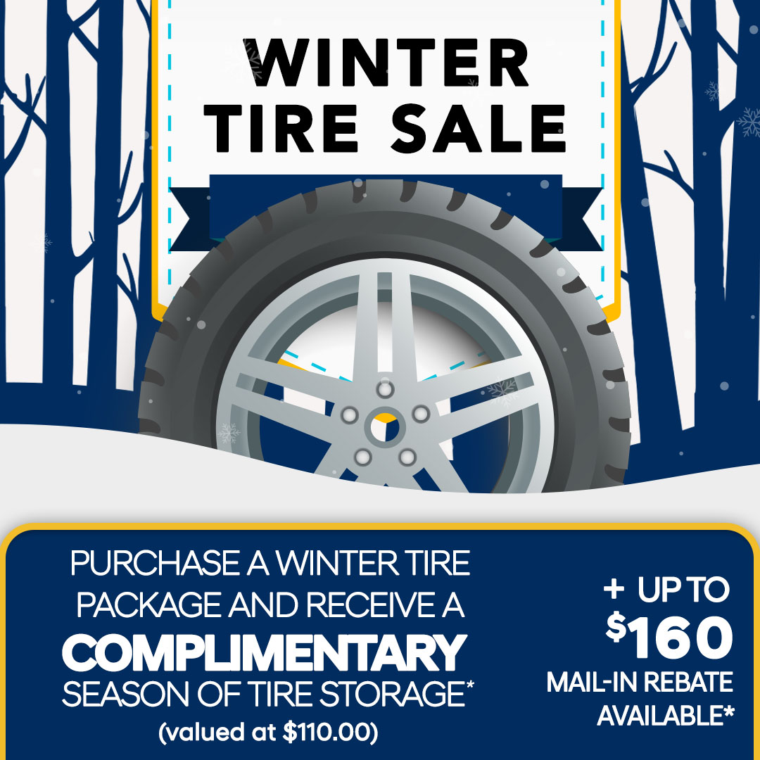 Don Valley North Hyundai Winter Tire Sale
